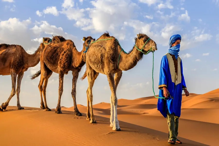 3 days Marrakech desert tour